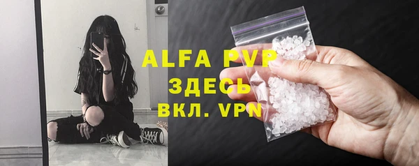 мяу мяу мука Михайлов