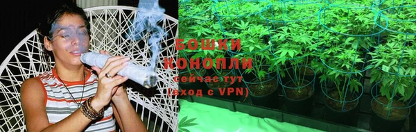 мяу мяу мука Михайлов