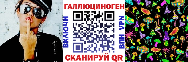 Галлюциногенные грибы GOLDEN TEACHER  Купить где  Кувандык 